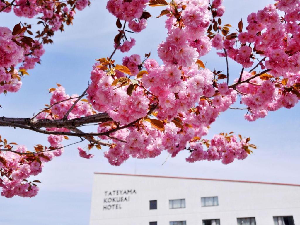 Tateyama Kokusai Hotel Toyama Station Eksteriør bilde